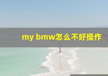 my bmw怎么不好操作